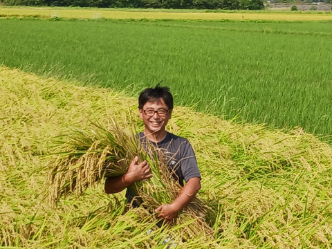 令和7年産新米　農薬5割減　特別栽培米コシヒカリ白米４.5kg　化学肥料不使用　段ボール込み約5kg