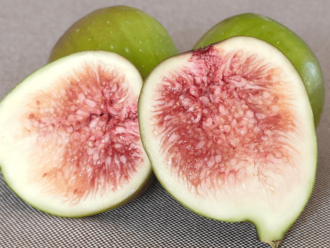 いちじく農家が作った加工品セット（コンポート１本、ジャム1本、セミドライ１袋）