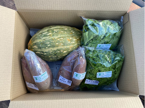 有機JAS認証☆季節のおまかせ野菜セット【約3㎏】