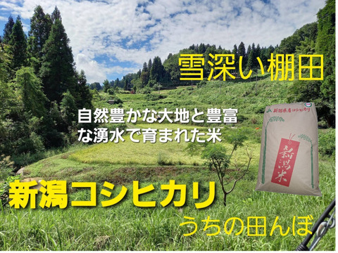 令和8年産新米】【農家直送】新潟・とちお産コシヒカリ20kg(5㎏×4袋