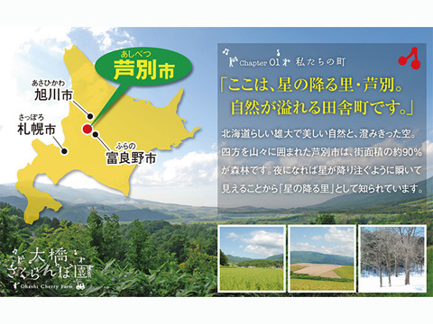 月山錦500ｇ【予約販売】北海道・芦別産さくらんぼ【大橋さくらんぼ園】7月中旬～発送