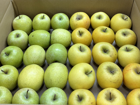 【極小玉・バラ詰め】シナノゴールド＆王林💛🍏家庭用約5Kg💛🍏ハーフセット　毎日りんご　コスパ抜群　青森県産　数量限定