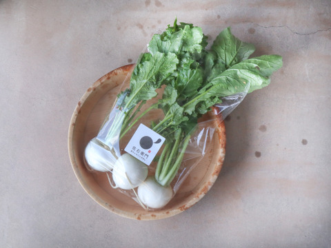 とろっと甘い『小かぶ』2kg