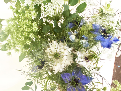 【お届け20本-40㎝】〜ニゲラ〜　初夏から夏が旬の可憐で涼しげなお花！