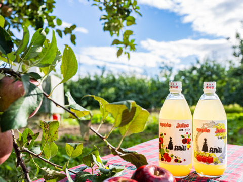 りんごジュース　600ml×3セット（青林、ほおずり）　100％ストレート果汁　おまかせ