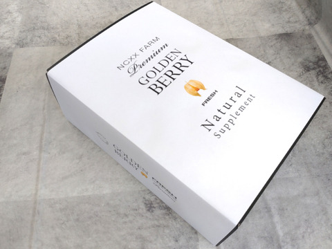 【冬ギフト】果実の美味しさを味わえるゴールデンベリープレミアムアイスギフト（6個入り）