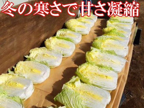 大根のたくあん漬け約250ｇ×2、にんにく入り白菜漬け約600ｇ×2