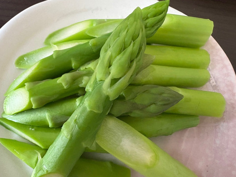 みずみずしく濃厚！大山を望む大地で育てた朝取り新鮮アスパラガス　1kg