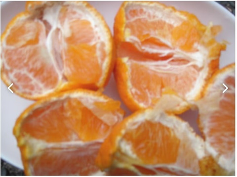 富士山が見える日当たりの畑で育った　不知火（不揃い）8ｋｇ