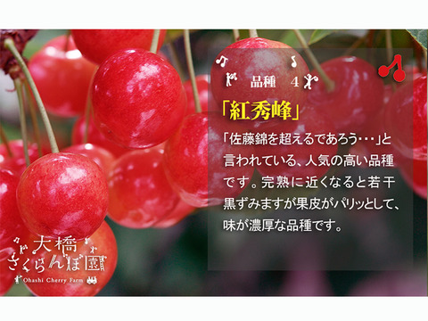 4色セット2ｋｇ【予約販売】北海道・芦別産さくらんぼ【大橋さくらんぼ園】7月下旬～発送