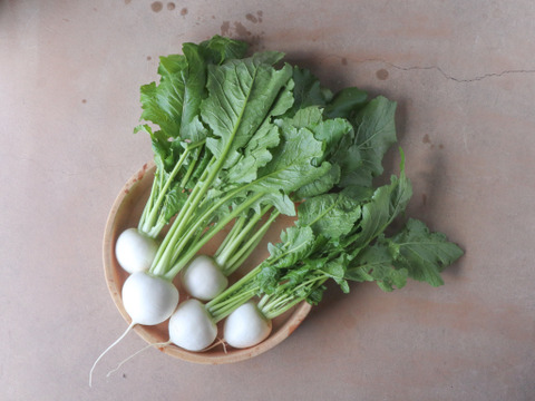 とろっと甘い『小かぶ』2kg