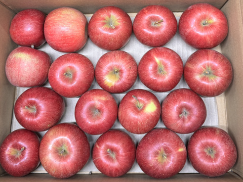 ★すぐに出荷★【加工用バラ詰め】極小玉のシナノスイート!! ジュース、スイーツ、コンポート、すりおろし林檎　加工用・業務用🍎約2.7Kg青森県産