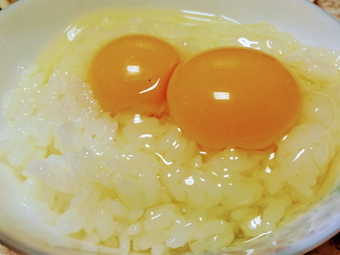 お試し！
«日本三大地鶏»ぷりんっと濃い♪比内地鶏の平飼い卵4ヶ+6ケ(割れ補償)
