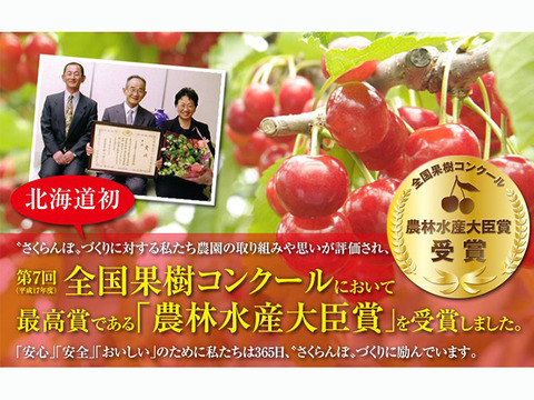 月山錦500ｇ【予約販売】北海道・芦別産さくらんぼ【大橋さくらんぼ園】7月中旬～発送