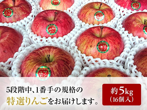 青森県産りんご 最高級品  「今年最後の一つです。 」「冬ギフト」極み雪完熟りんご５kg１６個〜１８個入り