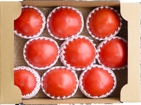 【夜市限定商品】ギュっ！と詰まった果肉が自慢の晴れの国岡山の完熟トマト（2kg）