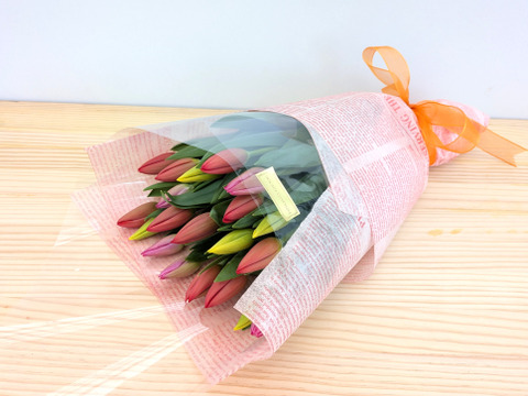 ラッピングチューリップ　ボリュームたっぷり30本束!!（花色おまかせミックス）　　※北海道・沖縄県配送不可※