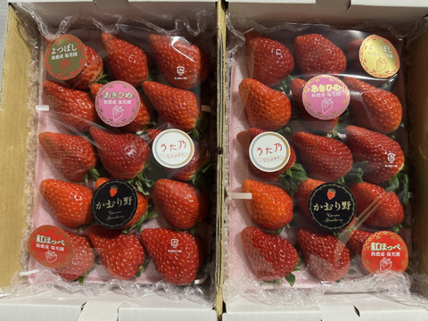 三重県オリジナル品種【うた乃】と章姫、紅ほっぺ、よつぼし、かおり野5品種の食べ比べスペシャルセット1箱1.0kg~1.3kg