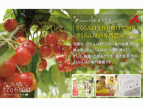 紅秀峰500ｇ【予約販売】北海道・芦別産【大橋さくらんぼ園】7月中旬頃～発送予定