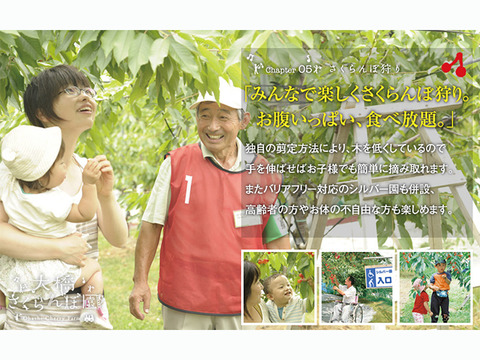 佐藤錦500ｇ【予約販売】北海道・芦別産【大橋さくらんぼ園】