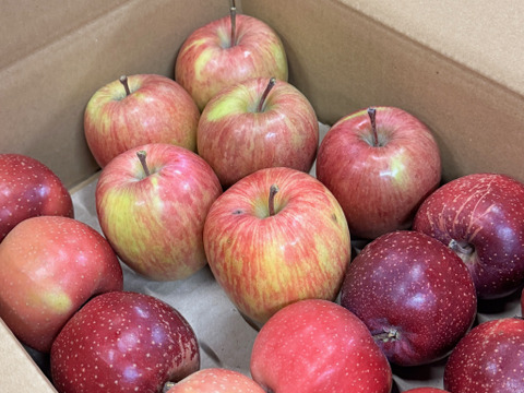 【在庫限り】千雪・まさゆめハーフセット訳ありバラ詰め　約2.7Kg　小玉多め　千雪多め　青森県産