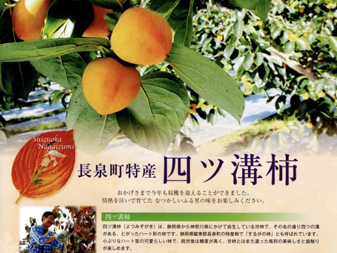 《希少》四ッ溝柿 （抜き柿 16〜20個）