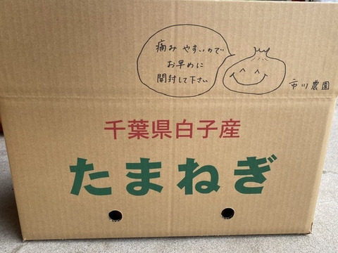 やみつき!【白子たまねぎ】小玉と中玉混ざり 9.5kg