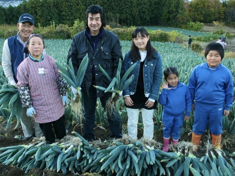 【農薬節減】とろける甘さ 極太下仁田ネギ（Lサイズ以上を18本）