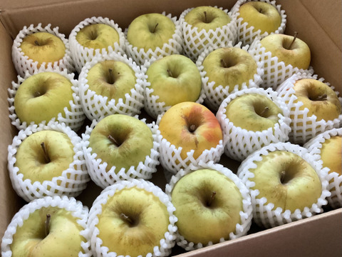 【販売中！人気セット！】青森県産りんご「ぐんま名月」5kg+「サンふじ」5kg 家庭用 キズ有 セット