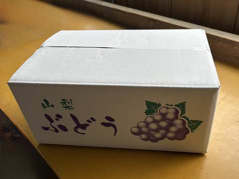 「五つの個性が奏でる、極上のハーモニー」最高級ぶどうセット　3Kg　限定2セットのみ