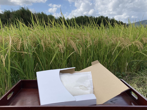 ワンコインのお試し米（5合）希少米つきあかり　栽培期間化学肥料不使用