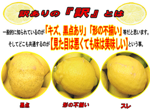広島県瀬戸田産レモン(訳あり、農薬不使用です）約１０kg1箱