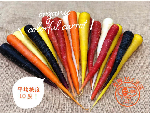 旬彩オーガニック人参食べ比べセット