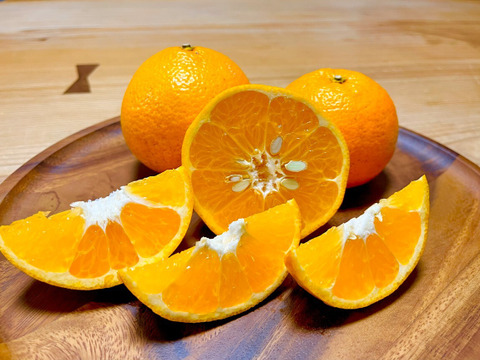 自然栽培　伊予柑Ｂ品５kg🍊　香り豊かで果汁たっぷり🍊