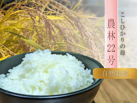 今や幻のお米！？自然栽培の農林22号（30kg）白米