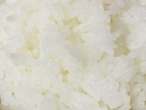 【令和３年産 新米３０kg 】本当においしいお米食べた事ありますか？(熊本県特産 森のくまさん)即日発送！※玄米でも発送可能です！