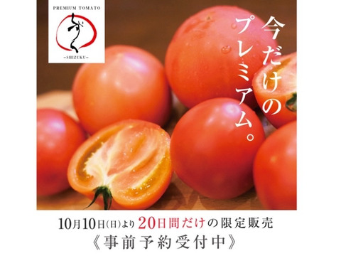 【本日10/31いよいよ最終日】大蔵BASEプレミアムトマト（4Kg）