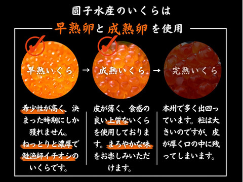 【飲むイクラ】早熟秋鮭いくら醤油漬け（１２０ｇ）