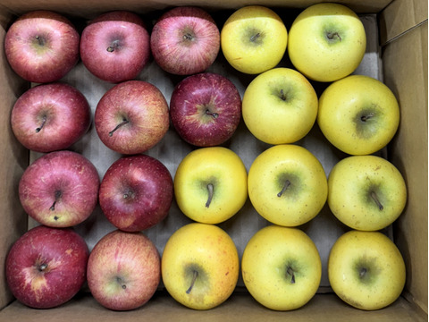 【極小玉・バラ詰め】サンふじ＆シナノゴールド🍎💛家庭用約3Kg🍎💛ハーフセット　毎日りんご　コスパ抜群　青森県産　数量限定