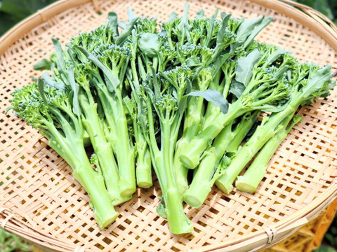【予約増量♪】箱いっぱいつめます！ 簡単調理　茎ブロッコリー（2600g→2700g） 　 from 名水の里　神奈川県秦野市