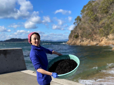 初回おすすめ福袋　冷凍お届け釜揚生ヒジキ感動の味！煎餅もちりめん、かえり！栄進丸のちりめん55ｇ3袋生ヒジキ200ｇ【福袋】石野水産！お一人１回1月限定