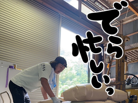 農家直送 新米２０２５『夢しずく』 令和７年産 １０キロ