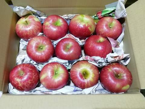 【色も味も濃い！】シナノホッペ　家庭用3キロ　小玉　JA基準より60％減の低農薬栽培