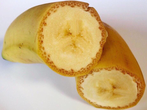 商品追加メニュ－皮まで食べるバナナの新常識です！！愛媛県鬼北町純国産　高級スマイルイン・バナナ　３本