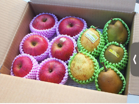 ★ 彩りフルーツセット★ 「洋梨 ラフランス」と「ふじりんご」 他西洋梨(ル.レクチェ)(シルバーベル)詰め合わせ 3kg箱まんぱい詰 (2〜4種) ギフト にも