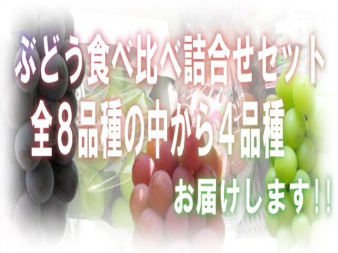 【クール便発送】岡山ぶどう 詰め合わせぶどう 4房 おまかせぶどう