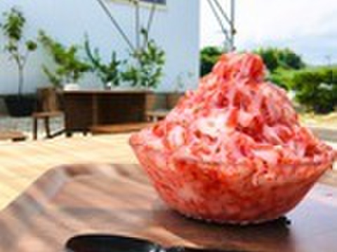 静岡限定品種！冷凍いちご　きらぴ香　3ｋｇ