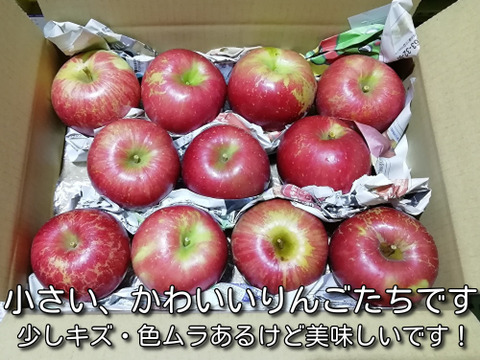 濃厚な旨さ！「秋映」極小玉　約1.8キロ【葉とらず】JA基準より60％減の低農薬栽培