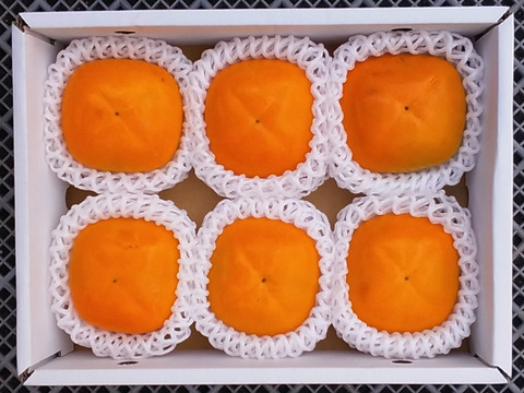 【贈答品】紀の川柿「6個箱詰め」黒蜜一杯の柿です。和歌山産