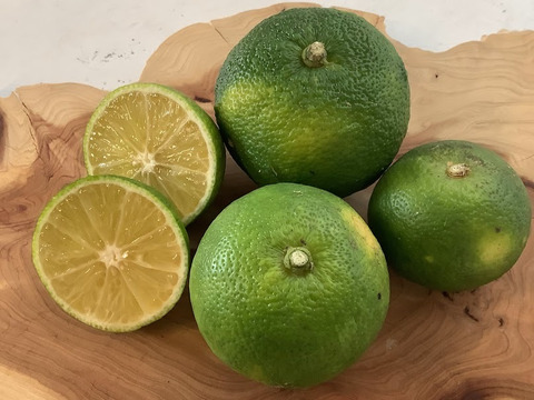 【栽培期間中農薬不使用！】訳ありすだち3kg